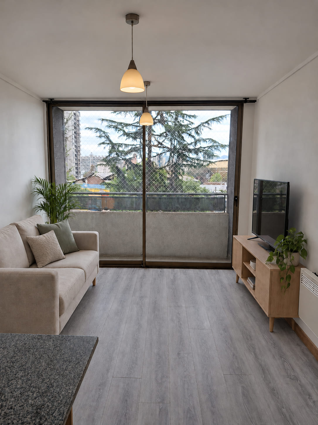 Living del departamento con luz natural